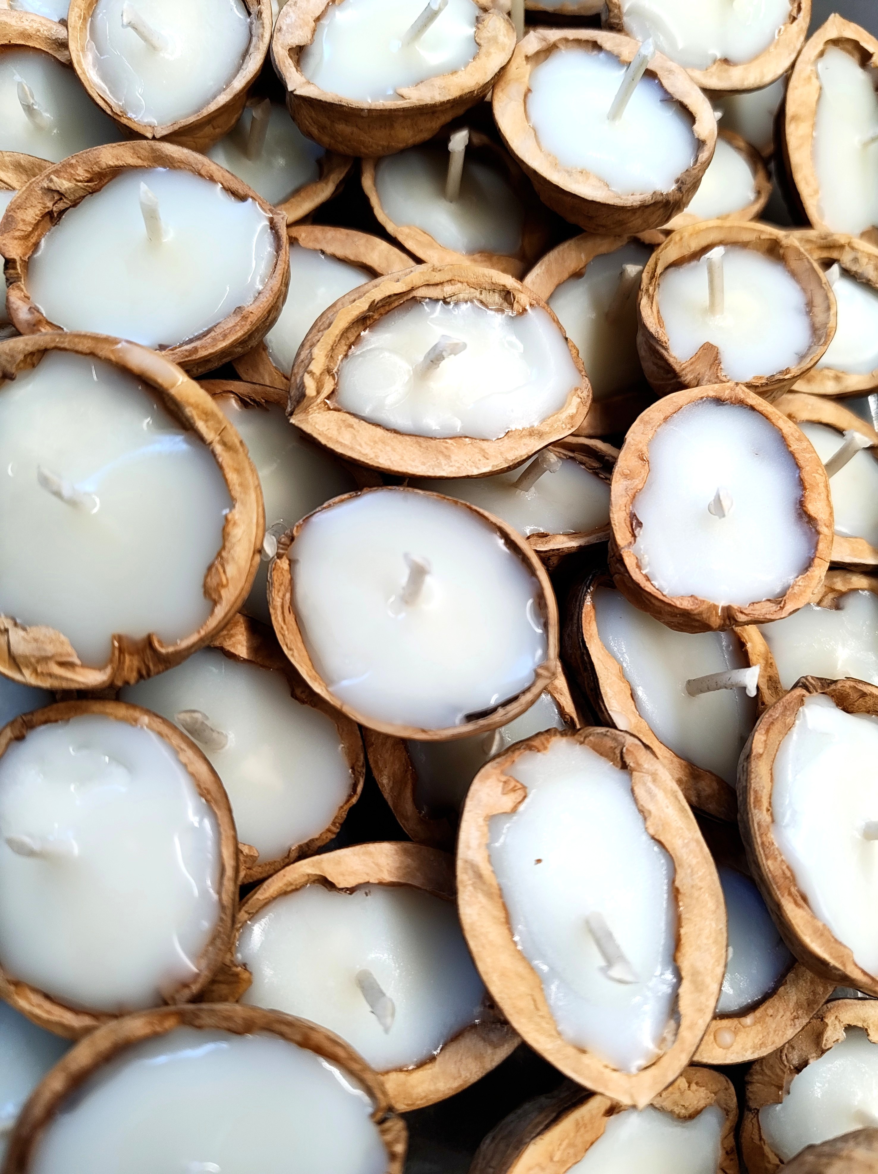 IMG_20251107_113712702 (1)